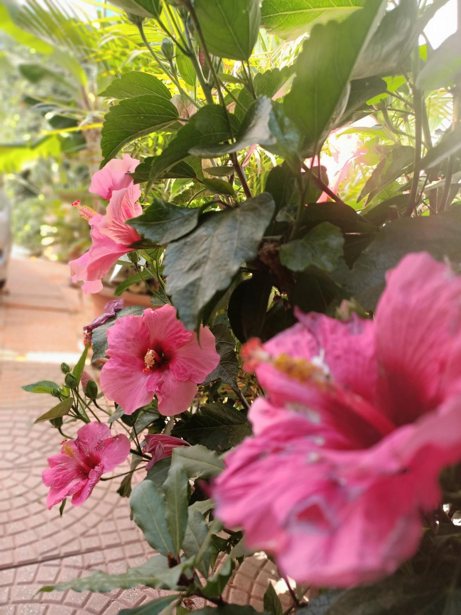 Summer Loft Sant'Andrea  エクステリア 写真